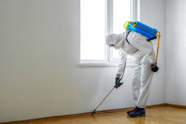 Best Residential Pest Control  in Neoga, IL