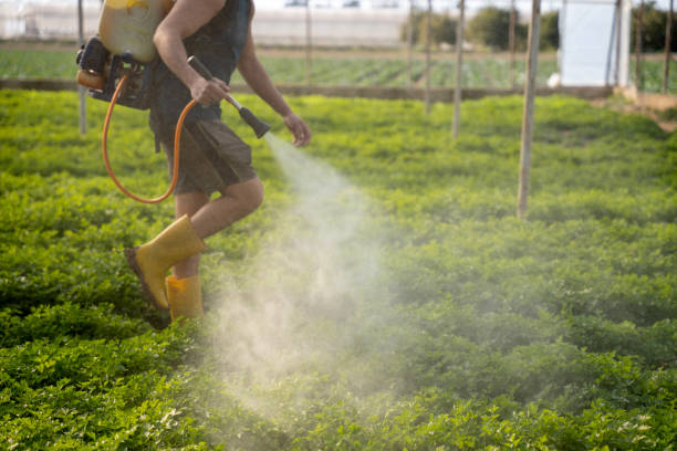 Best Best Pest Control Companies  in Neoga, IL