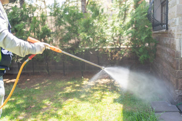 Professional Pest Control in Neoga, IL
