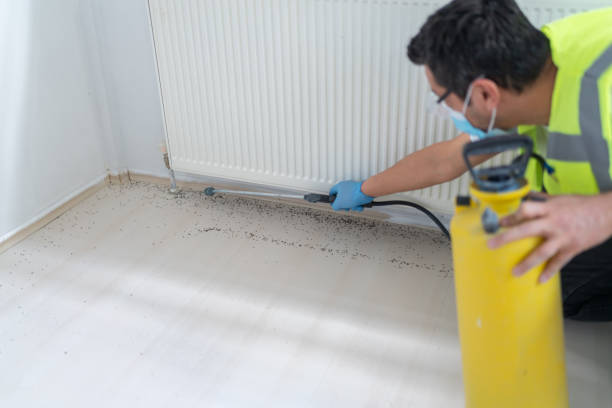 Best Affordable Pest Control Services  in Neoga, IL