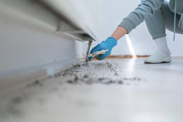Best Exterminator Services  in Neoga, IL